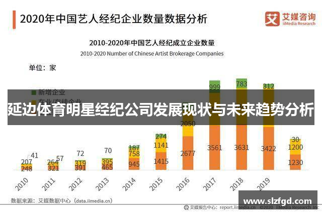 延边体育明星经纪公司发展现状与未来趋势分析